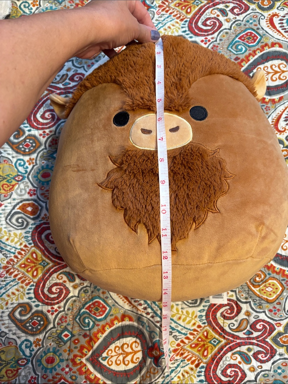 Original Squishmallows Plush - Dunkie the highland cow Brown Squishmallow - Picture 10 of 10